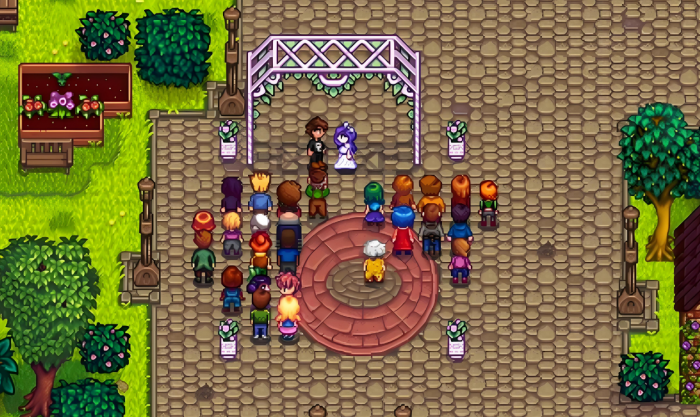 星露谷物语怎么结婚需要什么条件1