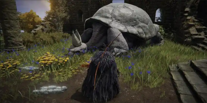 艾尔登法环多少个记忆石2