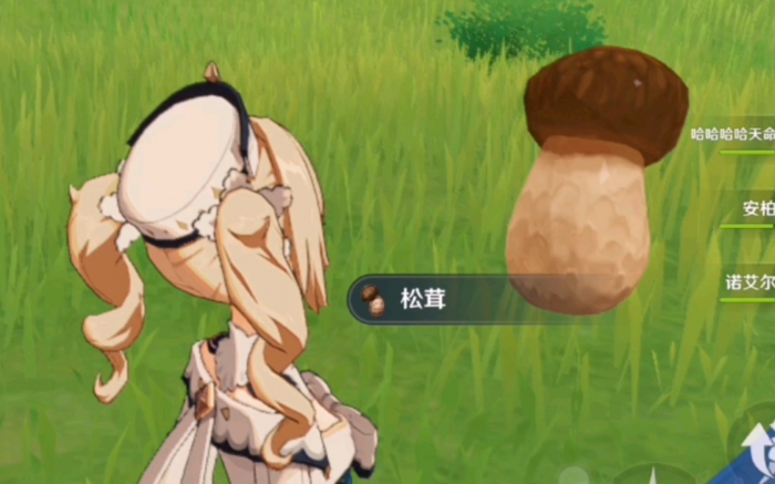 原神中四星食物有哪些2