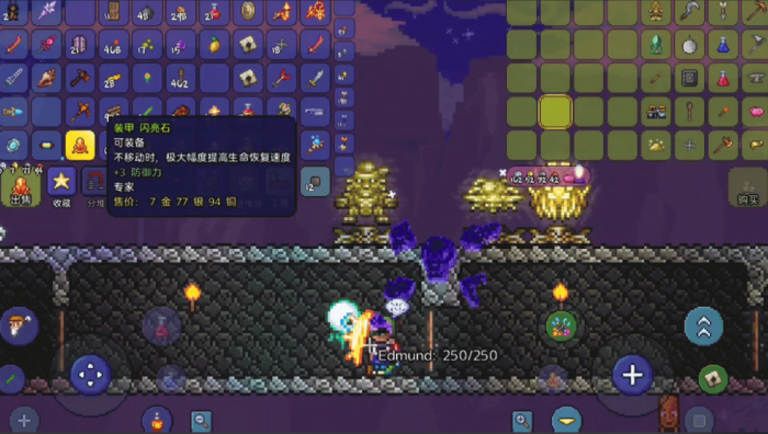 泰拉瑞亚怎么把装备放到饰品上1