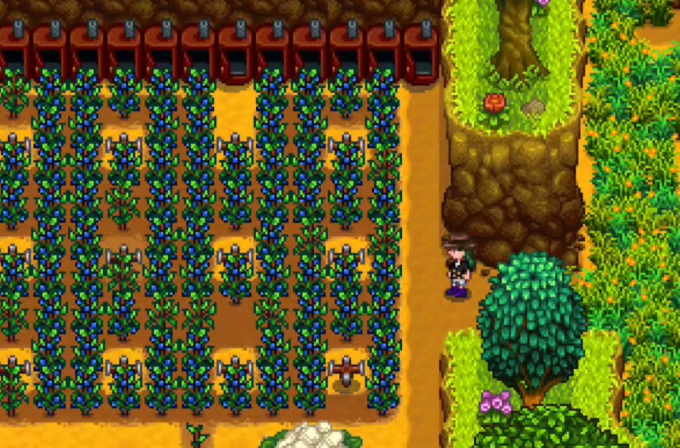 星露谷物语夏季怎么赚钱1