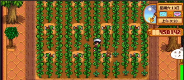 星露谷物语葡萄酒怎么酿1