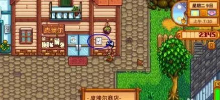 星露谷物语夏天能种什么3